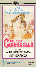 Coverscan of The Other Cinderella