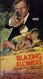 Coverscan of Blazing Flowers